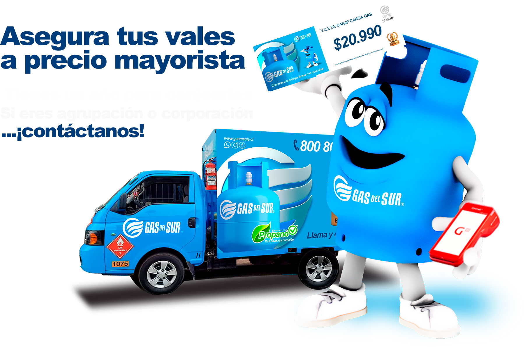 Vales Gas del Sur