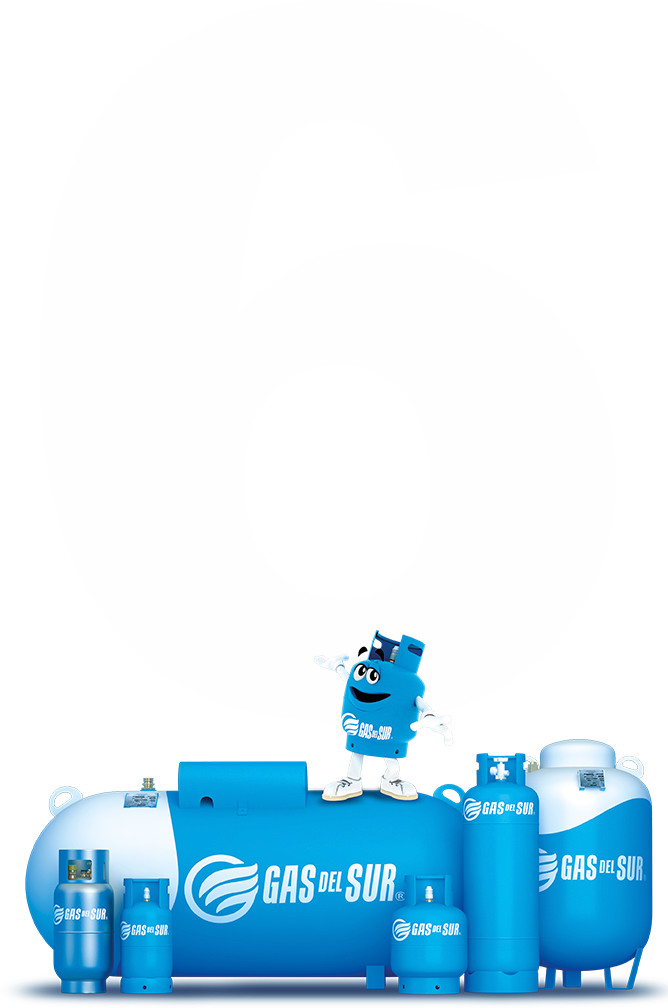 6 Años de historia Gas del Sur
