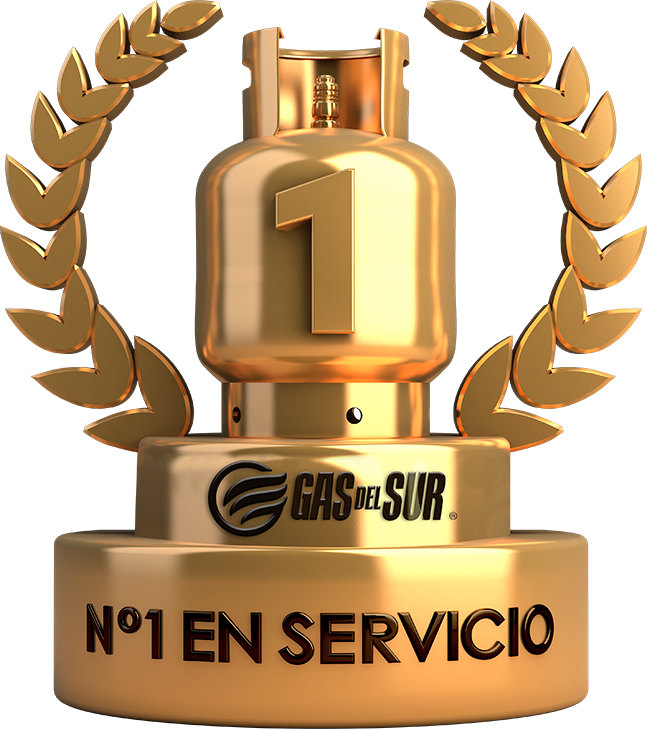 N°1 en servicio